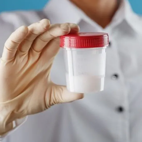 culture aerobic semen